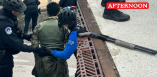 Teenager arrested at US capitol after attempt to enter with gun