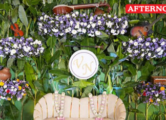 Veena artist’s wedding stage with musical theme draws attention