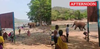 Wild Elephant attacks Tourists near Mekedatu