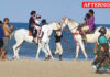 Strict Curbs Imposed On Horse Riding At Tourist Spots