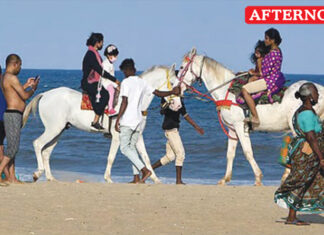 Strict Curbs Imposed On Horse Riding At Tourist Spots