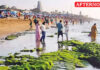 Sea recedes unusually at Tiruchendur