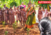 Amrita Vidyalayams mark World Environment Day with Bee-Flora drive