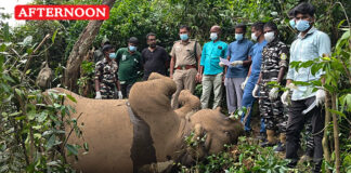 8 year-old female elephant found dead in Anamalai Tiger Reserve