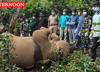 8 year-old female elephant found dead in Anamalai Tiger Reserve