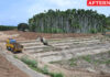 Siruthuli steps up restoration of anicuts in Noyyal river system