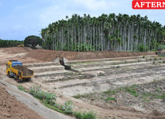 Siruthuli steps up restoration of anicuts in Noyyal river system