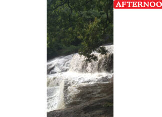 Kovai Courtallam temporarily closed amid flood surge