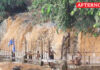 Cauvery inflows rise to 14,000 cusecs at Hogenakkal