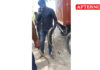Eight-foot rat snake rescued from lorry near Neelambur