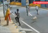 Stray Dogs Foil Sexual Assault Bid On Mentally Ill Woman In Coimbatore