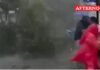 Large tree falls in R.S. Puram; Three escape unhurt