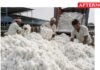 Extend 11% cotton import duty exemption: Weavers’ federation secretary