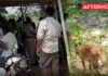 Rs. 2 lakh reward announced for information on missing seven-year-old girl