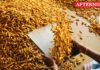 Turmeric price rises ₹3,138 a quintal in Erode in four days