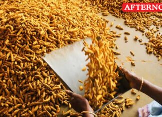 Turmeric price rises ₹3,138 a quintal in Erode in four days